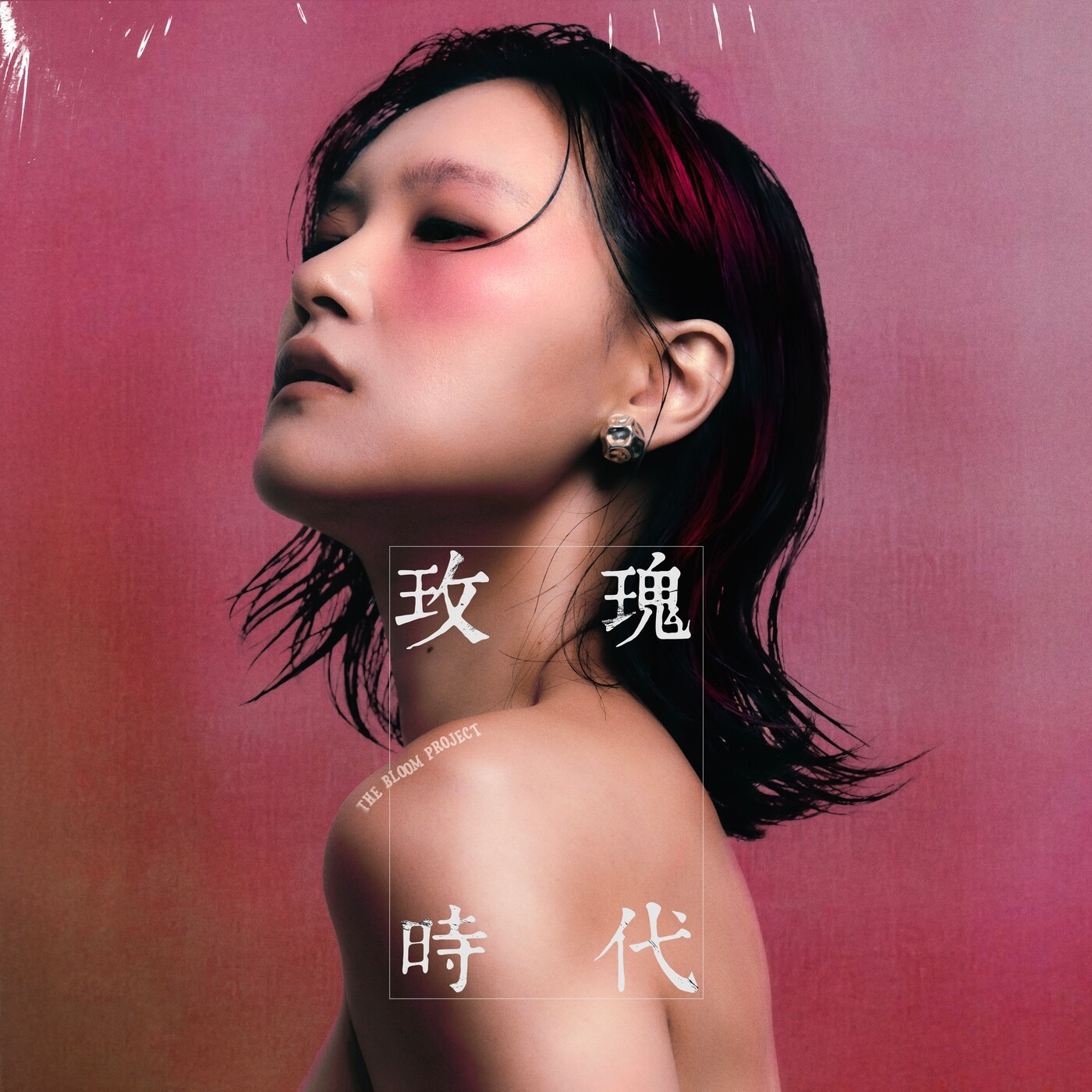 三分路转粉 | 宋黛霆的《玫瑰时代》：金曲画彩妆，歌女当自强 episode artwork