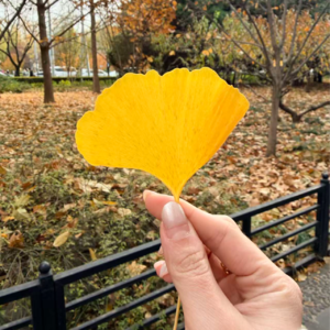 17|当“及时沟通”变成 KPI、当“情绪稳定”成为人设——我们到底在用什么谈恋爱?