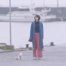 田皮皮