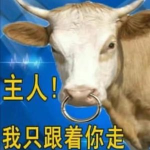 不想吃牛肉的思思