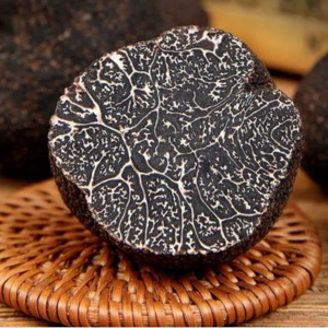 EP11：装杯指南之松露｜记住几个关键词:佩里戈尔、意大利白松露、大理石纹路、拉戈托犬，你就是餐桌上最靓的(女)仔了