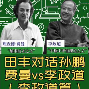 田丰对话孙鹏：费曼vs李政道（李政道篇）