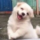 路綠