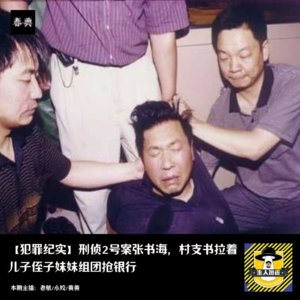 刑侦2号案张书海，村支书拉着儿子侄子妹妹组团抢银行丨犯罪纪实