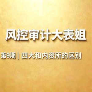 第9期 | 四大和内资所有什么区别?