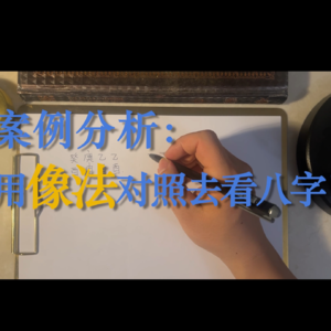 85.案例分析-用像法对照着去看八字