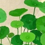 花径不扫