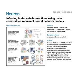 1515-CURBD: Inferring Brain-Wide Interactions
