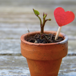 2024年5-8月｜Part 3 个人目标还是工作目标重要？