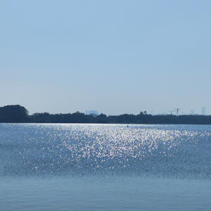 玄学聊天室016|诡异的酒店房间竟在命盘里|开刀做手术顺利化解|烂桃花、腰痛和车祸都能预测|用塔罗看我的灵异事件