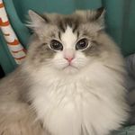 一位不愿意透露姓名的朋友