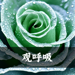 正念减压—观呼吸
