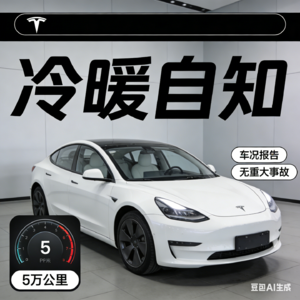 特斯拉二手车冰火两重天解析