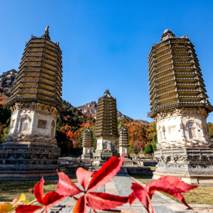 金中都的前夜：银山塔林里的金朝兴亡 E.96