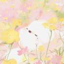 雨非_WzCE