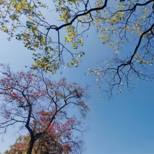 没想到今年快要结束了,还有好事在发生