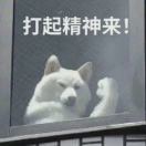 小花梅工具人版