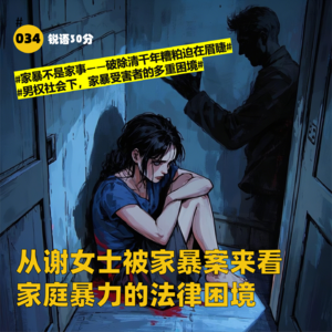#034 从谢女士被家暴案来看家庭暴力的法律困境