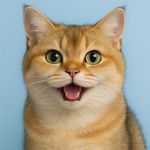 匪匪的小小妈咪