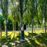 晕染了月亮_1FCm