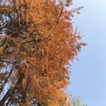 便携式烤炉_
