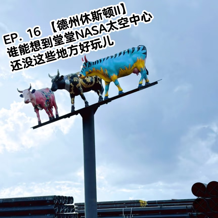 EP. 16 【德州休斯顿II】谁能想到堂堂NASA太空中心还没这些地方好玩儿 episode artwork