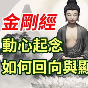 一个即时响应的世界会有多可怕?《金刚经》与吸引力法则有何不同?如何植入你的种子?《能断金刚(当和尚遇到钻石)》