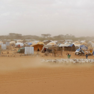 Do you really know｜气候难民：家园不再，他们将何去何从？