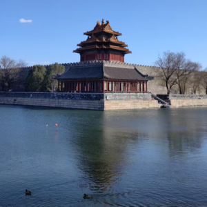 《照片的本质》：从混乱中选择 | 第140期读书会