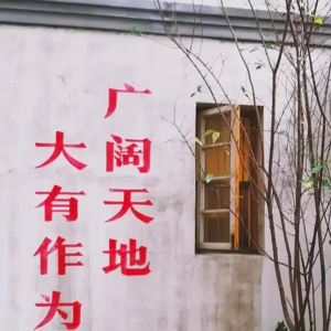 Vol 7. 5178点10周年，A股变得更好了吗？