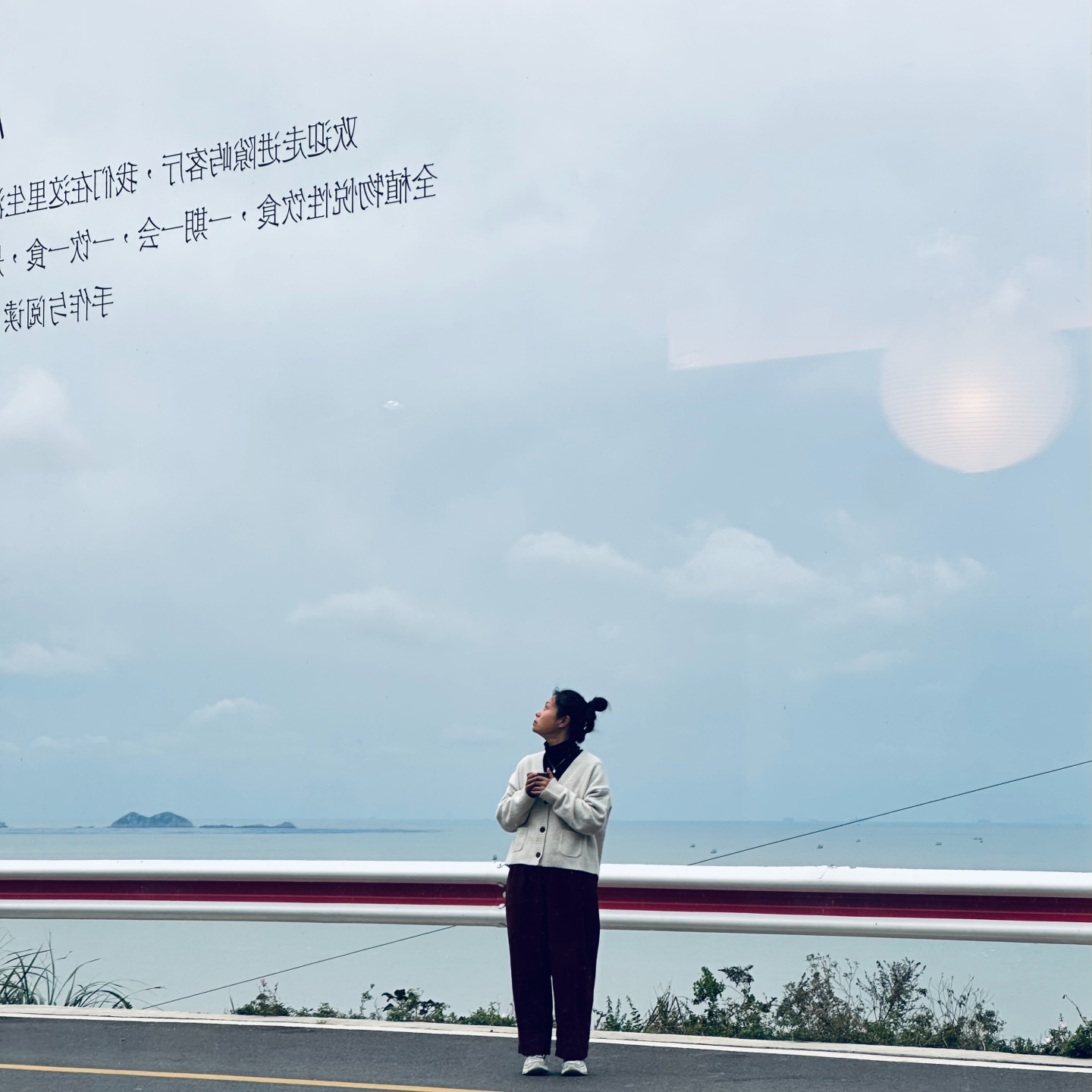 E241 Cen 最后的交代