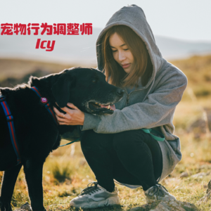 EP.12 |怪它不如怪自己，养宠人“雷区”大盘点！