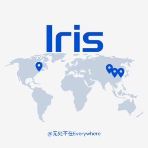 3. Iris:我来自新疆|跨越语言、民族、国界的相遇