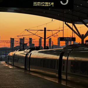 逃离杭州失败：我发现家乡已没有我的容身之所