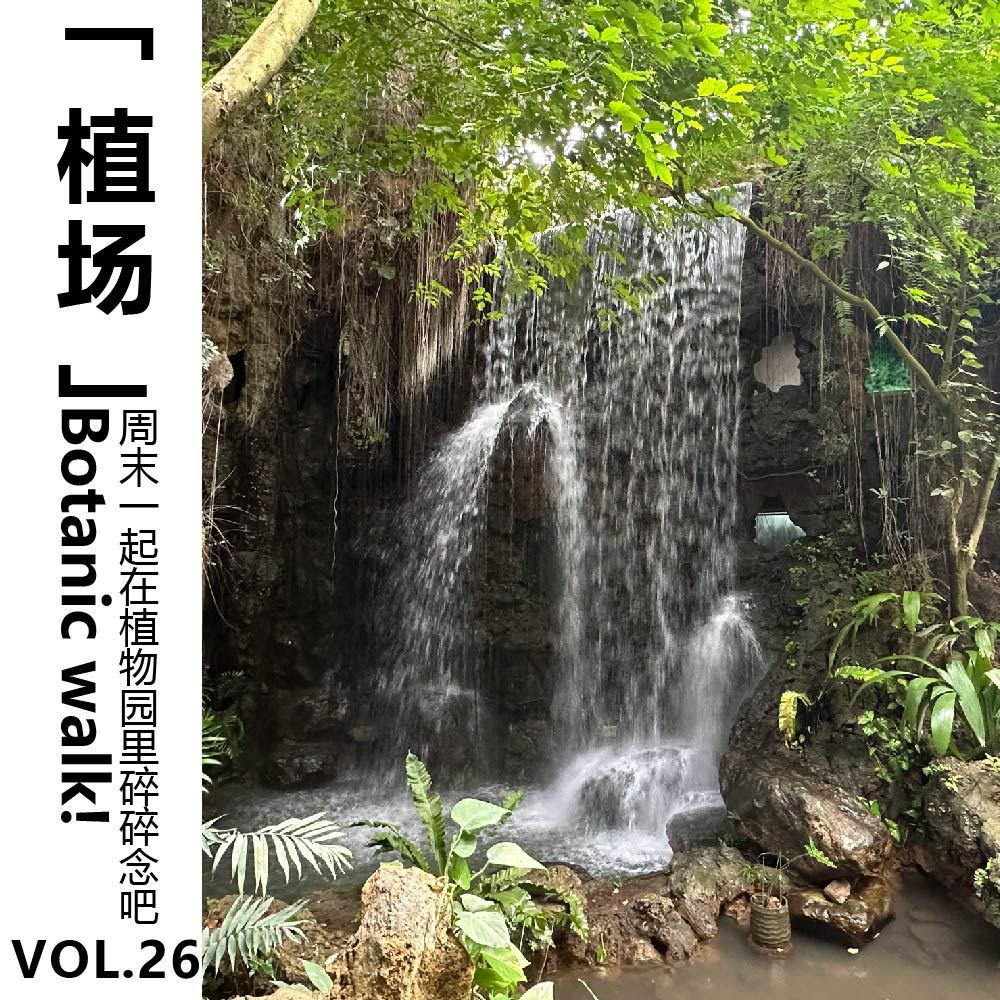 cover of episode Vol.26 Botanic walk！周末一起在植物园里碎碎念吧