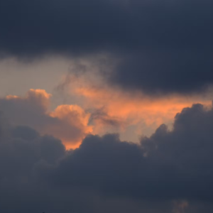 76-拉条电话线：好像要到七夕了