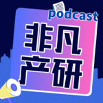 非凡产研VOL013 ｜《AI生产力：效率跃升与组织变革实践》