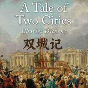 《双城记》-天堂地狱皆在人间