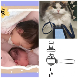 EP024 什么？！2024年过去了我很怀念它！