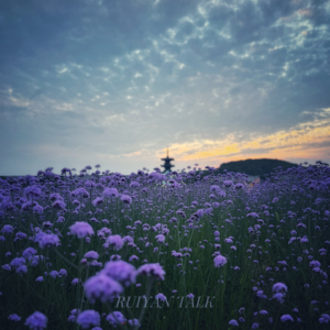 17. 这几年还贷又租房的时光，究竟是错付了？P4