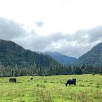 大大小小云朵儿