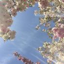 浮绿水啊拨清波