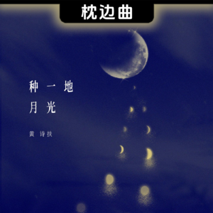 吃今生的苦偿前世的仇 • 黄诗扶《种一地月光》