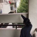 瑶瑶鲁