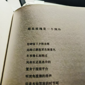 那末<我患得患失|颜面尽失>是一场意外