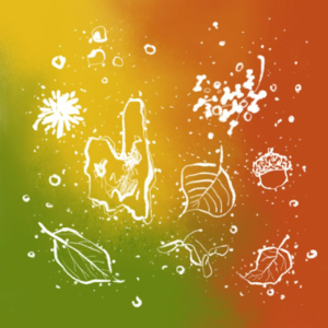 EP16 “捡秋”不“剪秋”，爱不是占有：秋日植物园游览指南