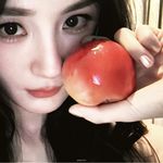 焦焦脆松木挞
