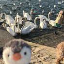 忠于的尽头是终于