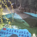 爱做春梦的秋秋