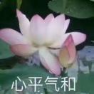 冰芯_WedB